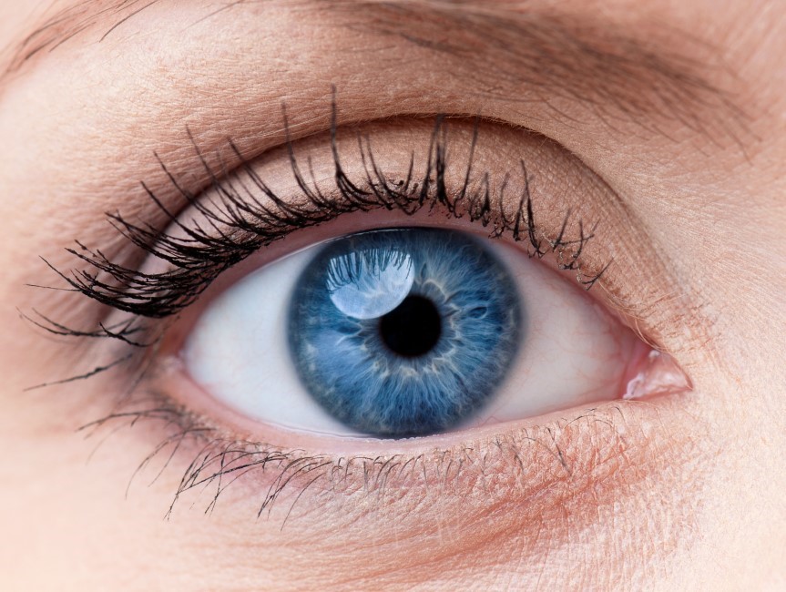 lentilles de couleur bleu